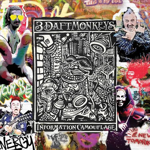 Information Camouflage